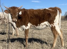 024/5 BREAK THAT SISTER 62/2 X TUFF