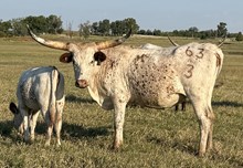 063/3 BREAK THAT SISTR 62/2 X STR