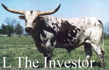 L THE INVESTOR